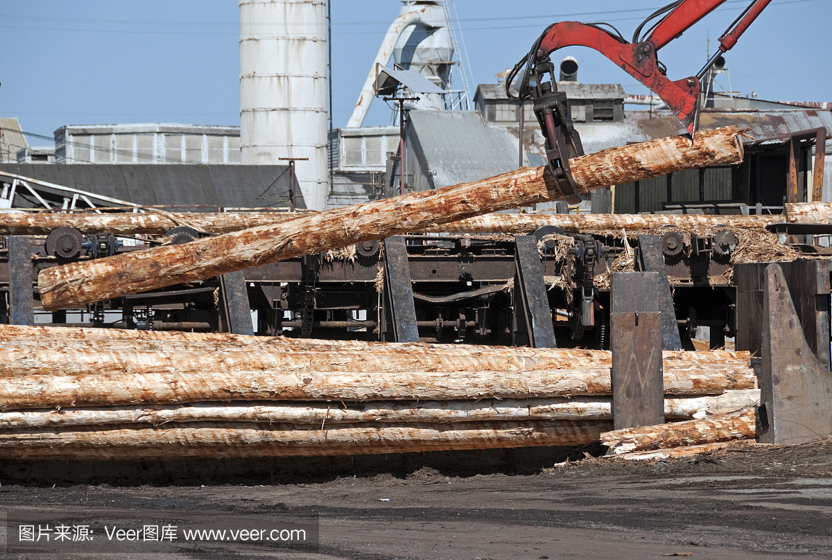 在伐木厂,起重机在堆垛去皮的原木